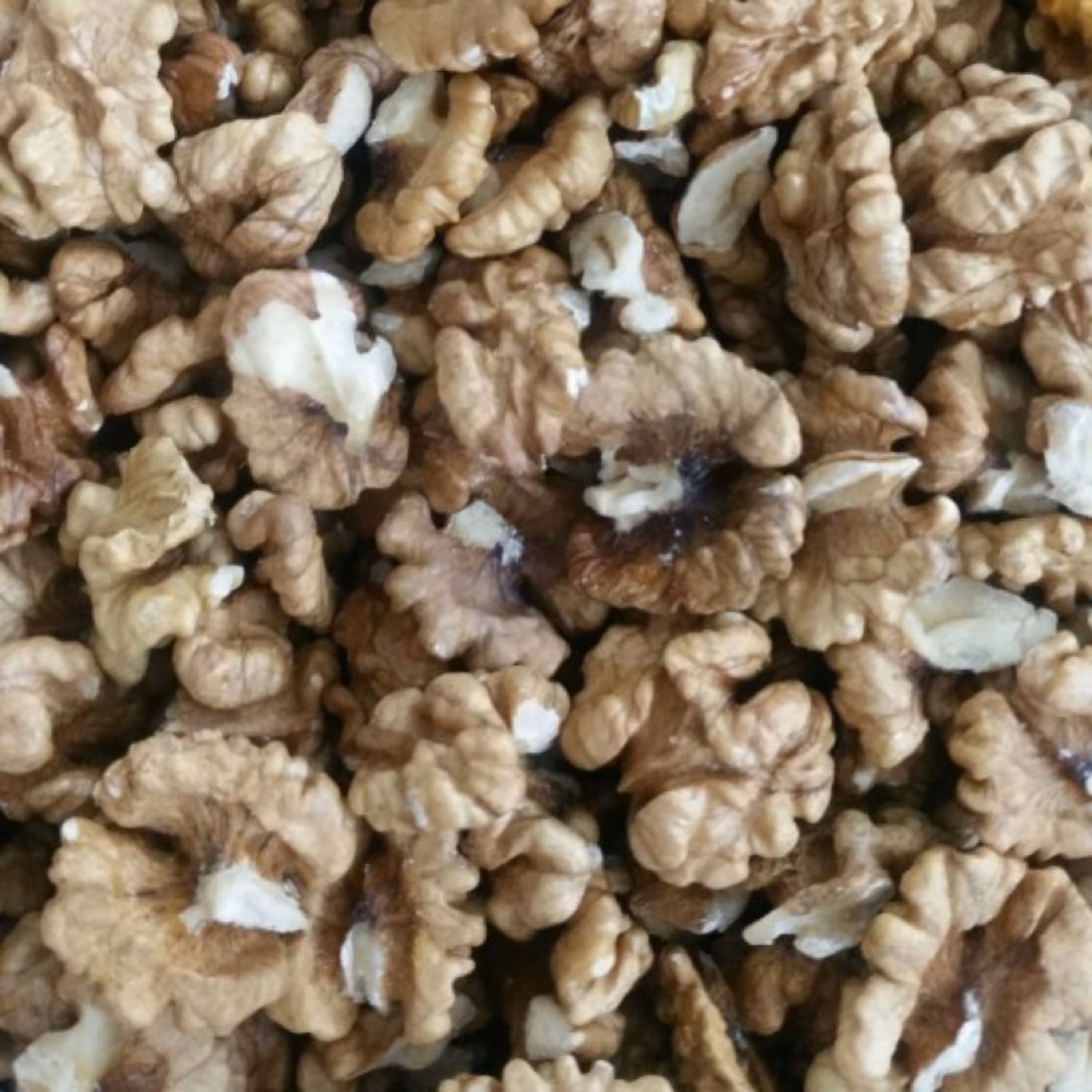 مغز گردو تازه و امسالی ( 1000 گرمی) درجه 1 شمال خراسان با ارسال رایگان