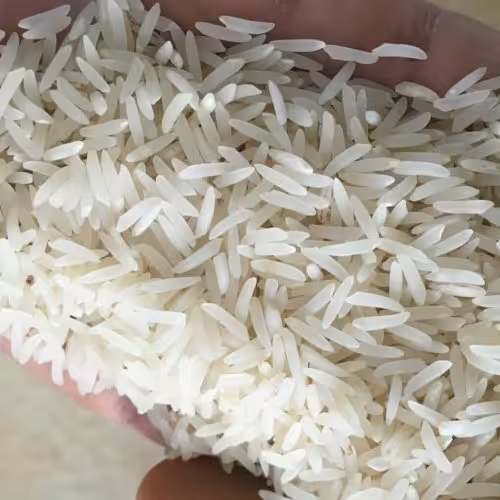برنج طارم محلی رتون