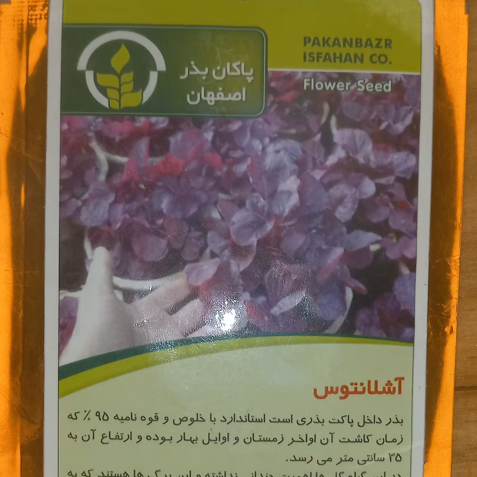 بذر گل آشلانتوس
