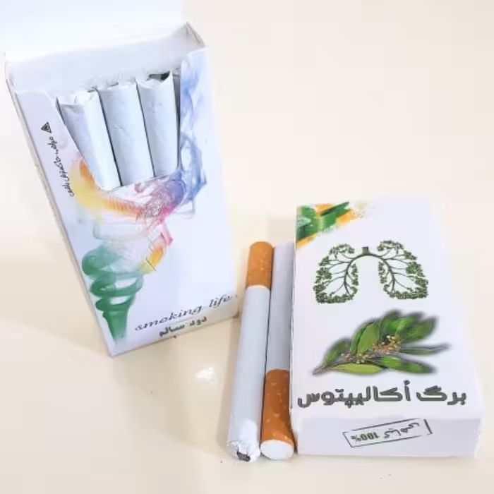 برگ خشک اکالیپتوس بسته بندی 10 عددی کمک به تنفس دود