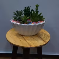 استند سه پایه