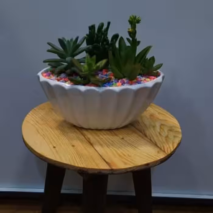 استند سه پایه