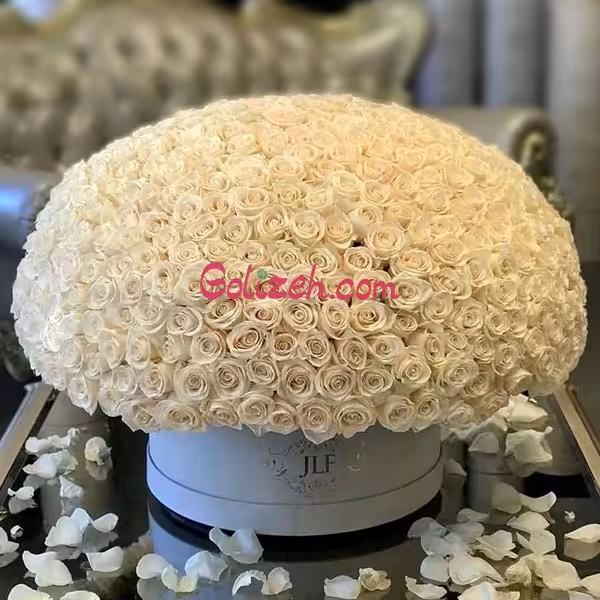 باکس رز سفید 300شاخه