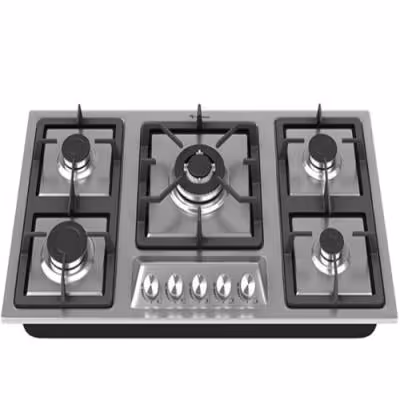 گاز صفحه ای مدل DS 514 داتیس