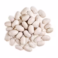 لوبیا سفید  ( 1 کیلویی )