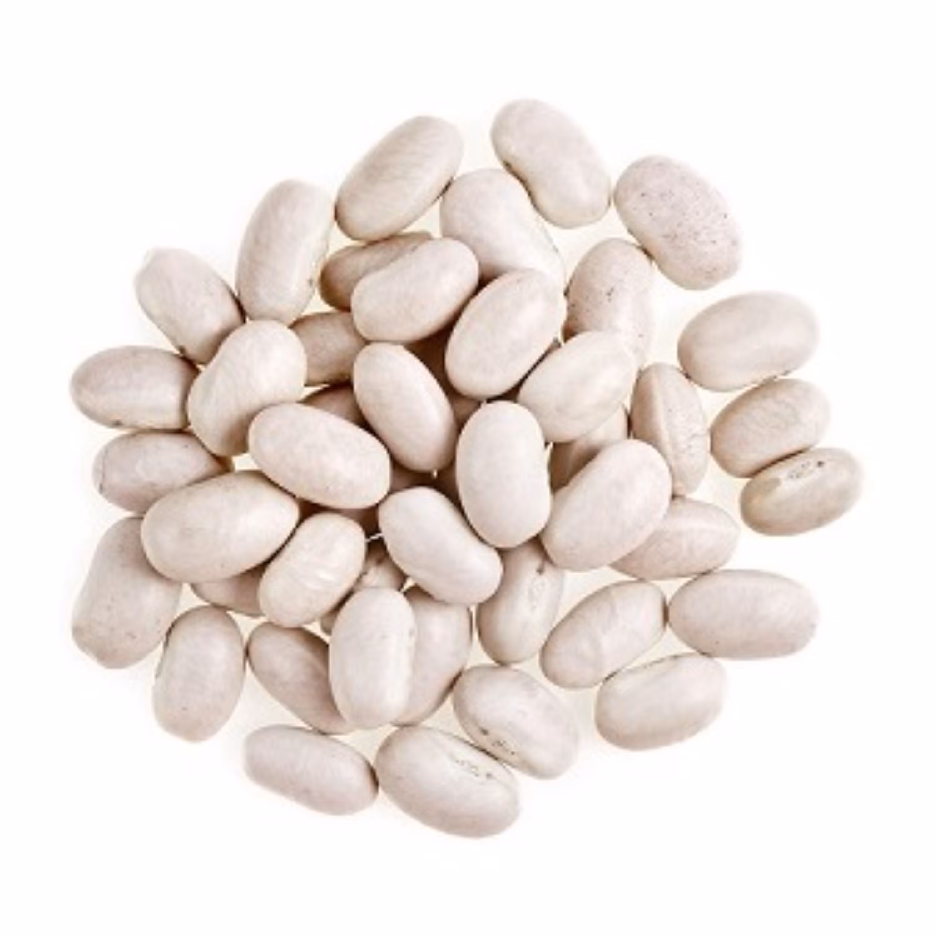 لوبیا سفید  ( 1 کیلویی )