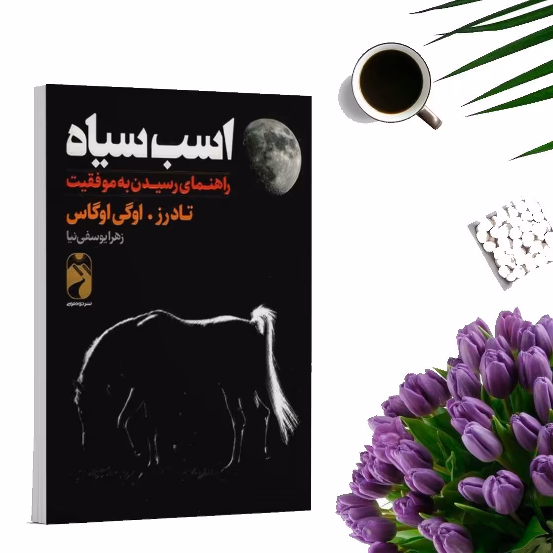 کتاب اسب سیاه  اثر تاد رز و اوگی اوگاس انتشارات خودمونی