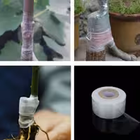 نوار پیوند زنی چسب باغبونی 3سانت 200 متری