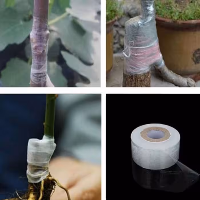 نوار پیوند زنی چسب باغبونی 3سانت 200 متری