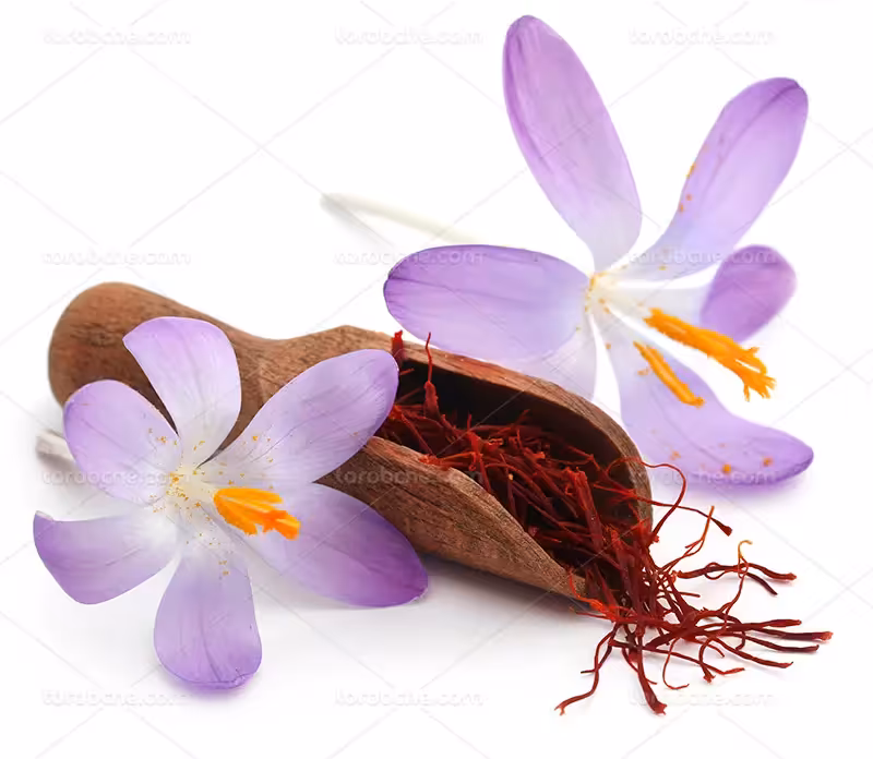 عکس زعفران باکیفیت | گرافیک با طعم تربچه