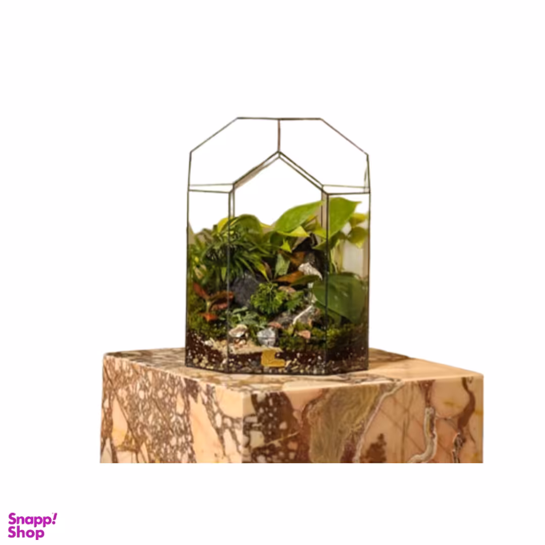 گلدان گیاه طبیعی مدل تراریوم باتیس میدل