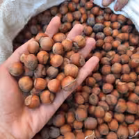 فندق خام ایرانی 30 کیلوگرم  (عمده) ارسال رایگان