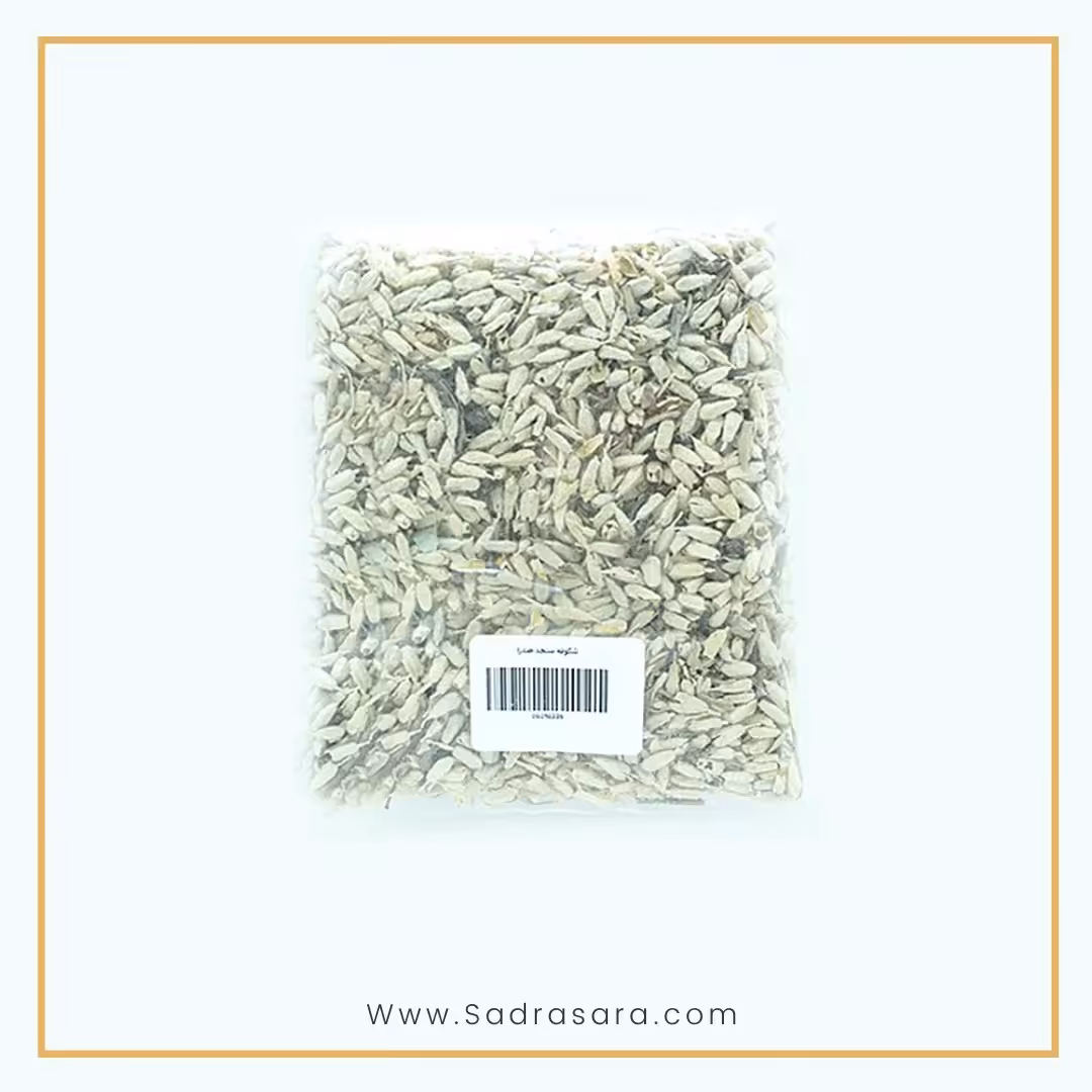 شکوفه سنجد صدرا