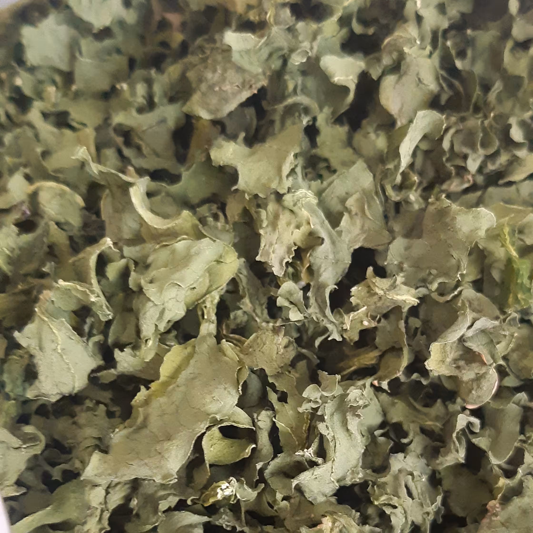 انواع سبزی های خشک و سرخ کردا