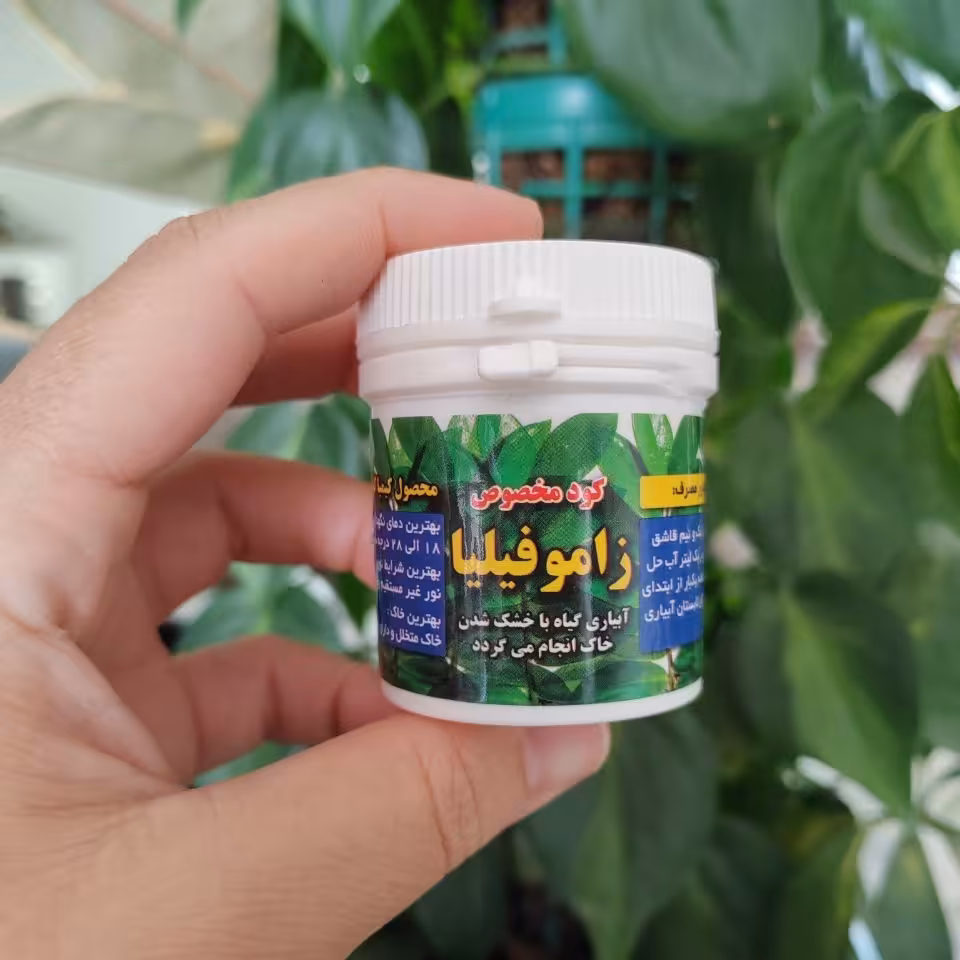 کود رشد و تقویتی مخصوص زاموفیلیا کیمیا کود گواشیر کرمان