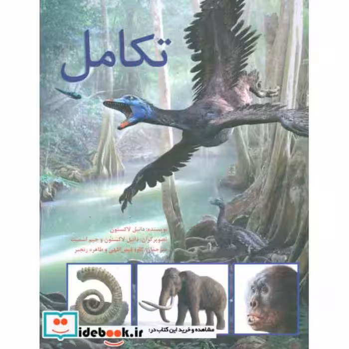 کتاب تکامل نشر فاطمی