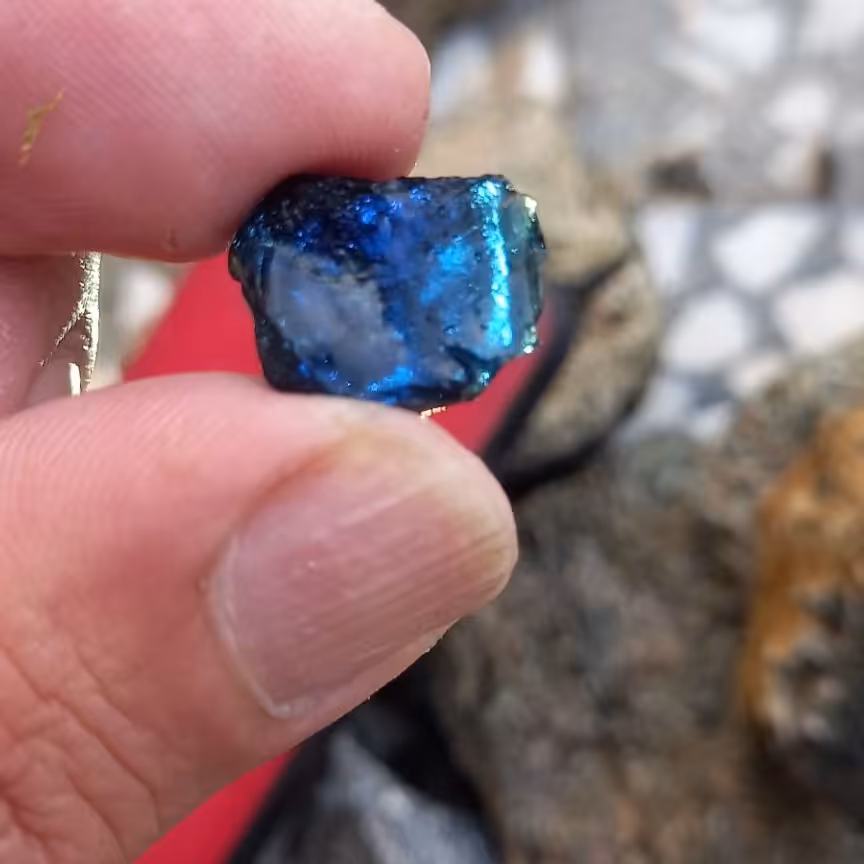 راف ابسیدین