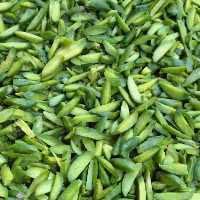 خلال پسته سبز 500 گرم