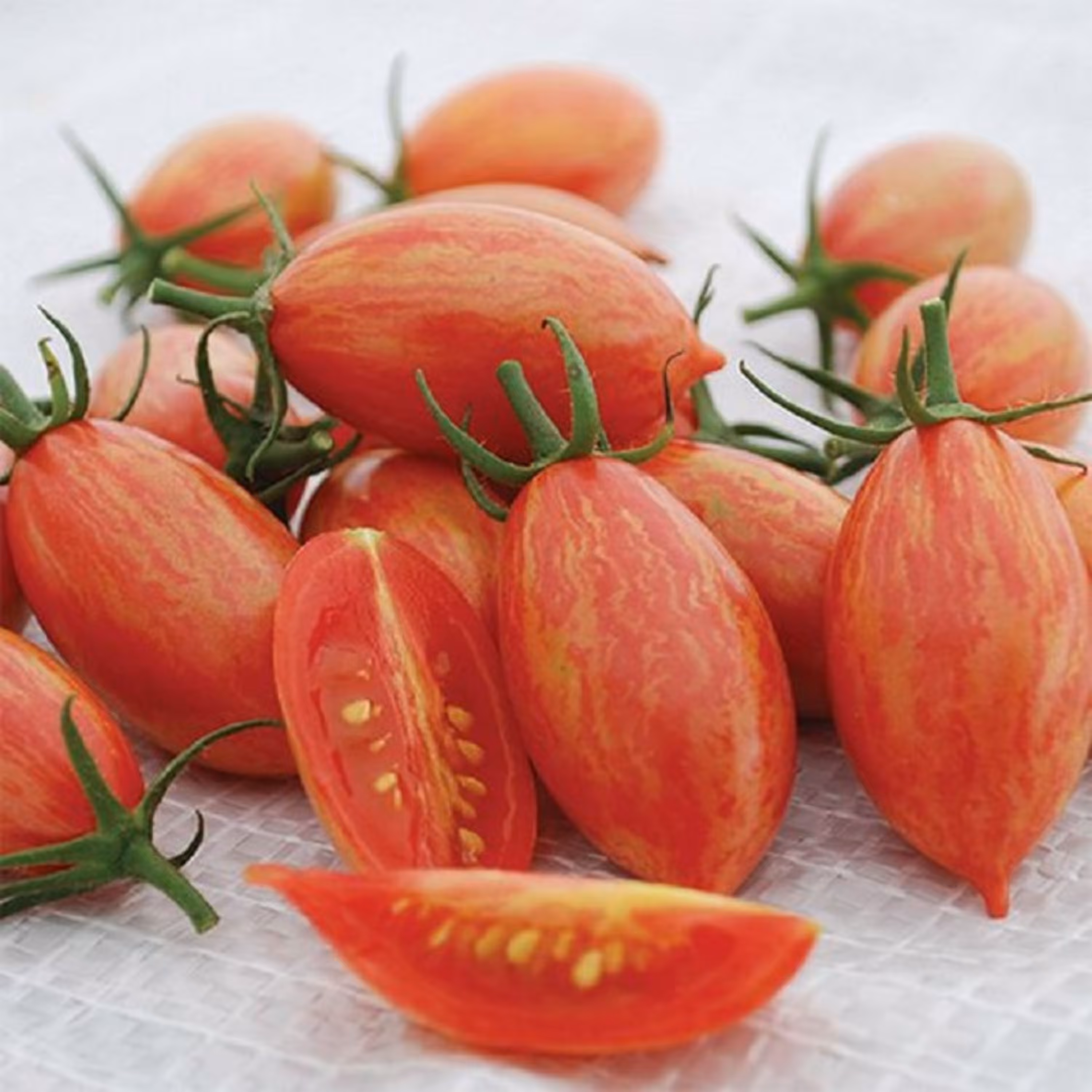 بذر گوجه زیتونی ببری قرمز درختی