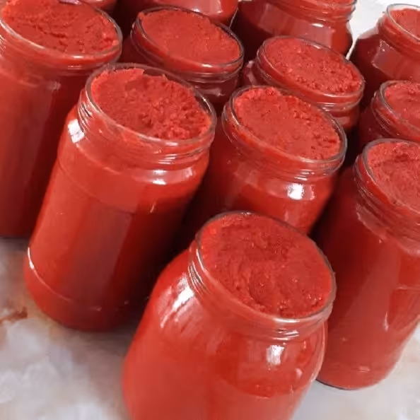 رب گوجه فرنگی خانگی غلیظ اعلاء(400گرمی) طهورا