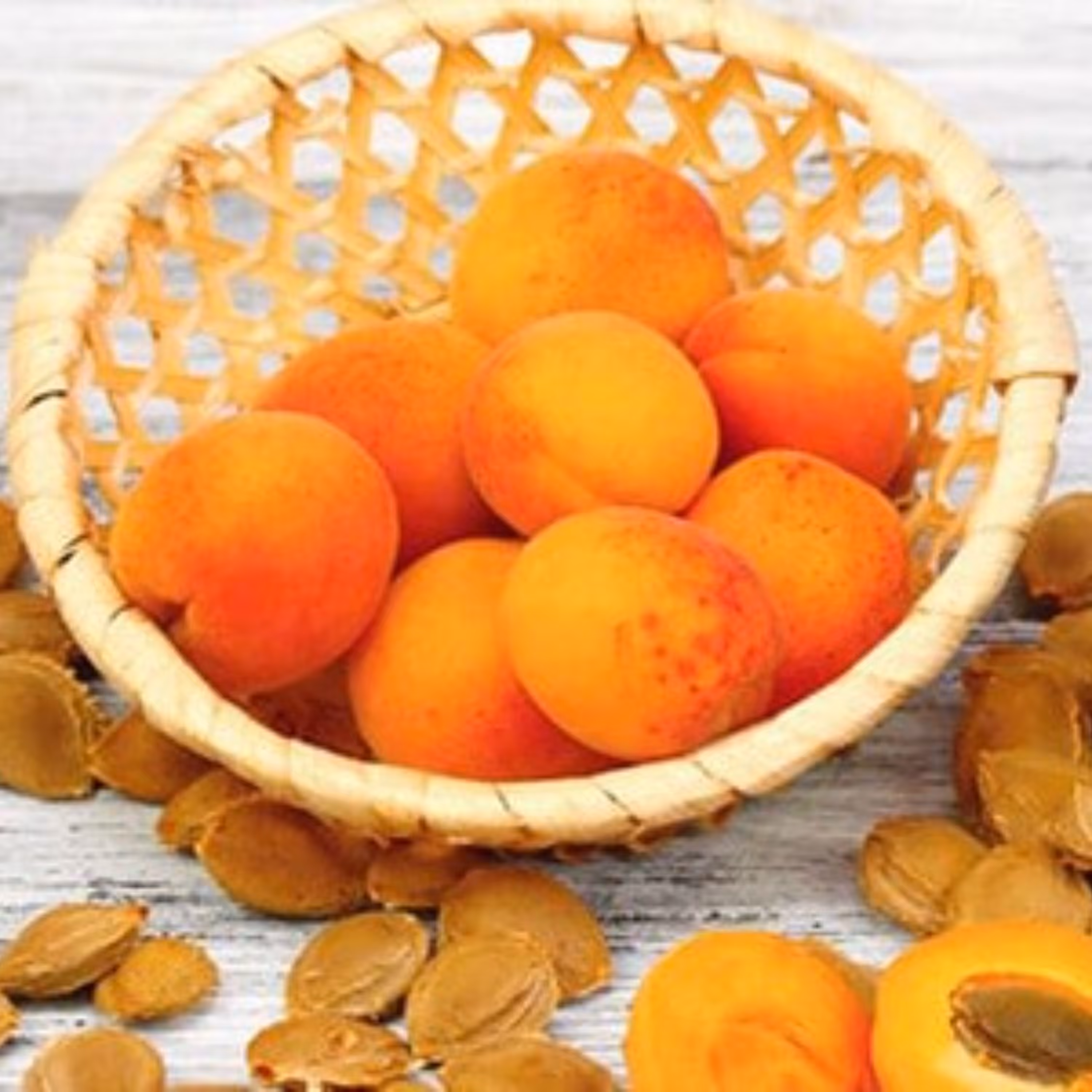 روغن هسته زردآلو 120 میلی لیتر