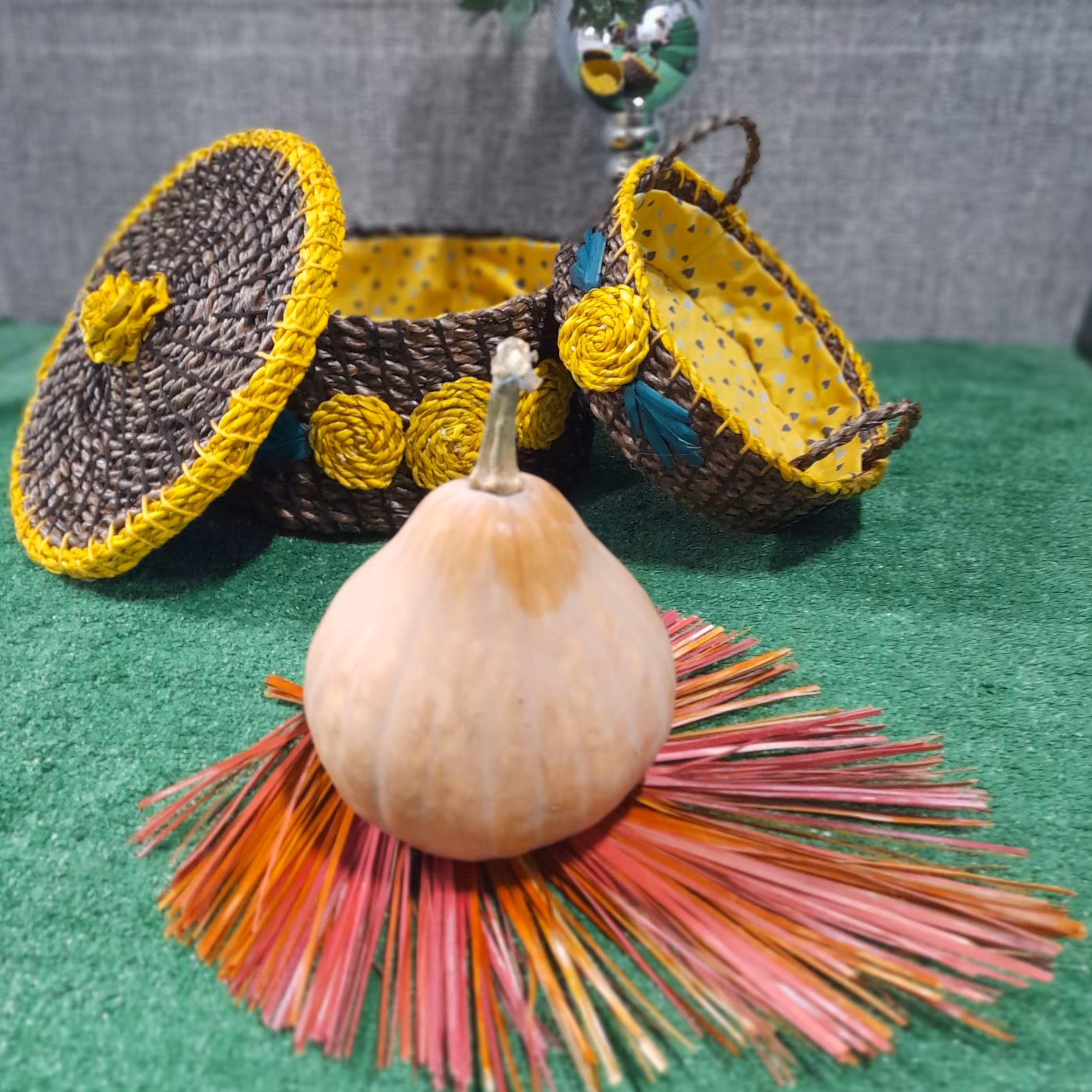 جا نونی حصیری