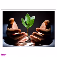 تابلو نوری بکلیت طرح جوانه و مدیتیشن مدل W-S1191