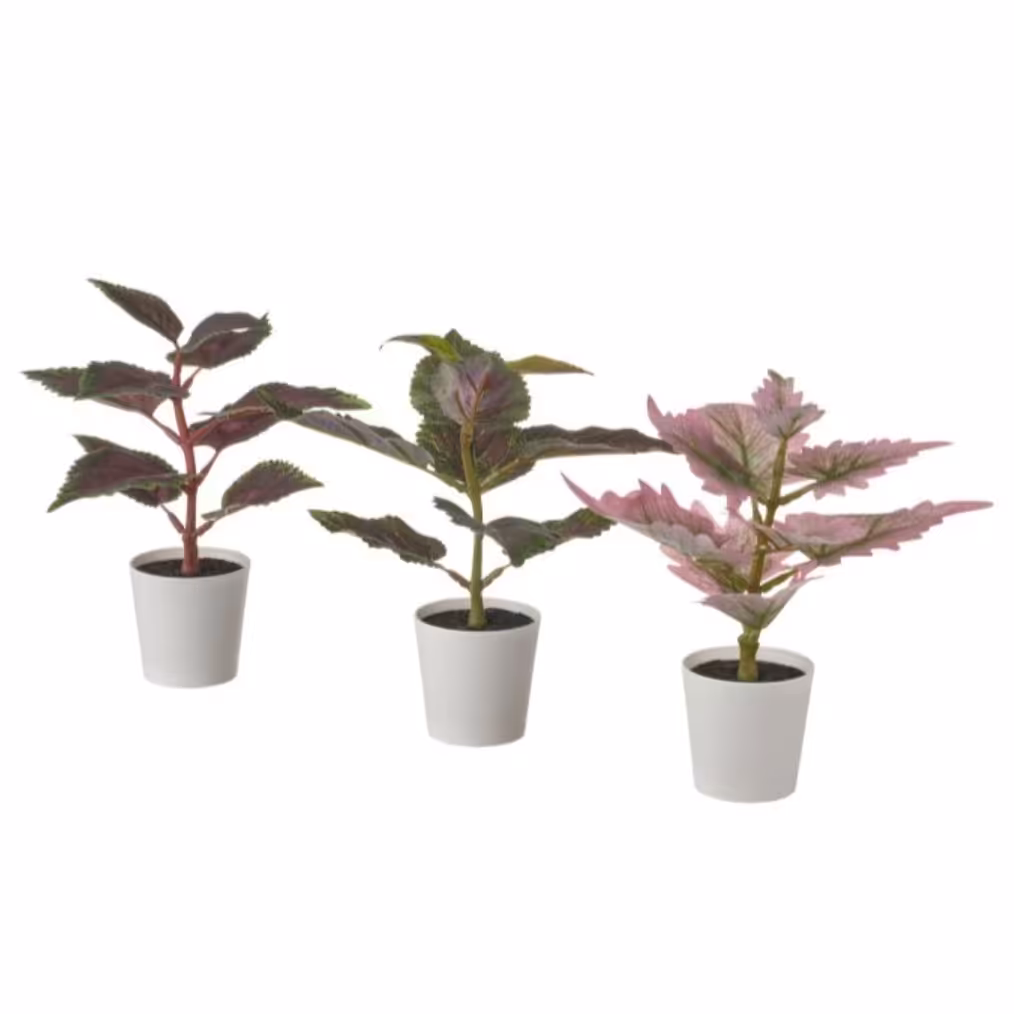 گل و گلدان 3تایی مصنوعی آیکیا مدلFEJKA. مناسب هم داخل و هم خارج خانه. حسن یوسف. کدمحصول 505.229.88  . 3نوع متفاوت