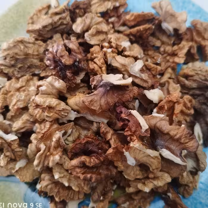 مغز گردوی  ایرانی فسنجانی بک کیلویی محصول بهمن 1401