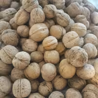 خشکبارنازگل 
گردوی تویسرکان (1000)گرمی