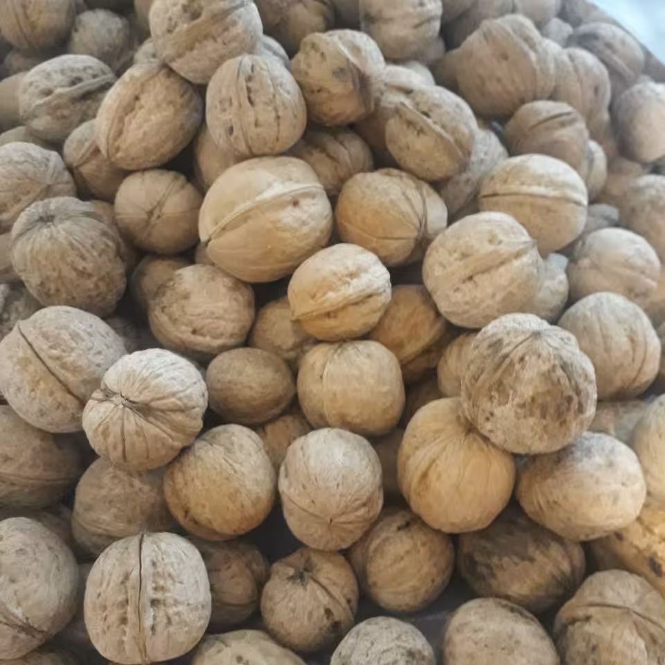 خشکبارنازگل 
گردوی تویسرکان (1000)گرمی