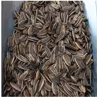 تخمه آفتابگردان دورسفید شور  تازه اعلا  نیم کیلو آجیل و خشکبار مهران