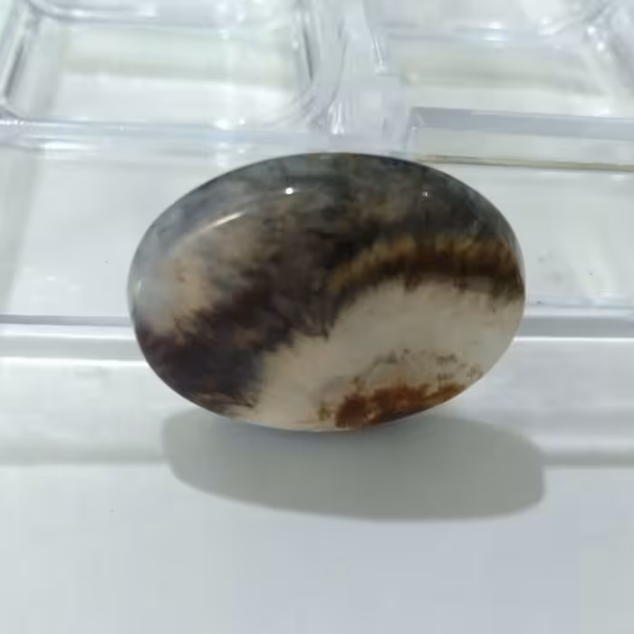 نگین شجر قائن با طرح فوق العاده خاص و زیبا