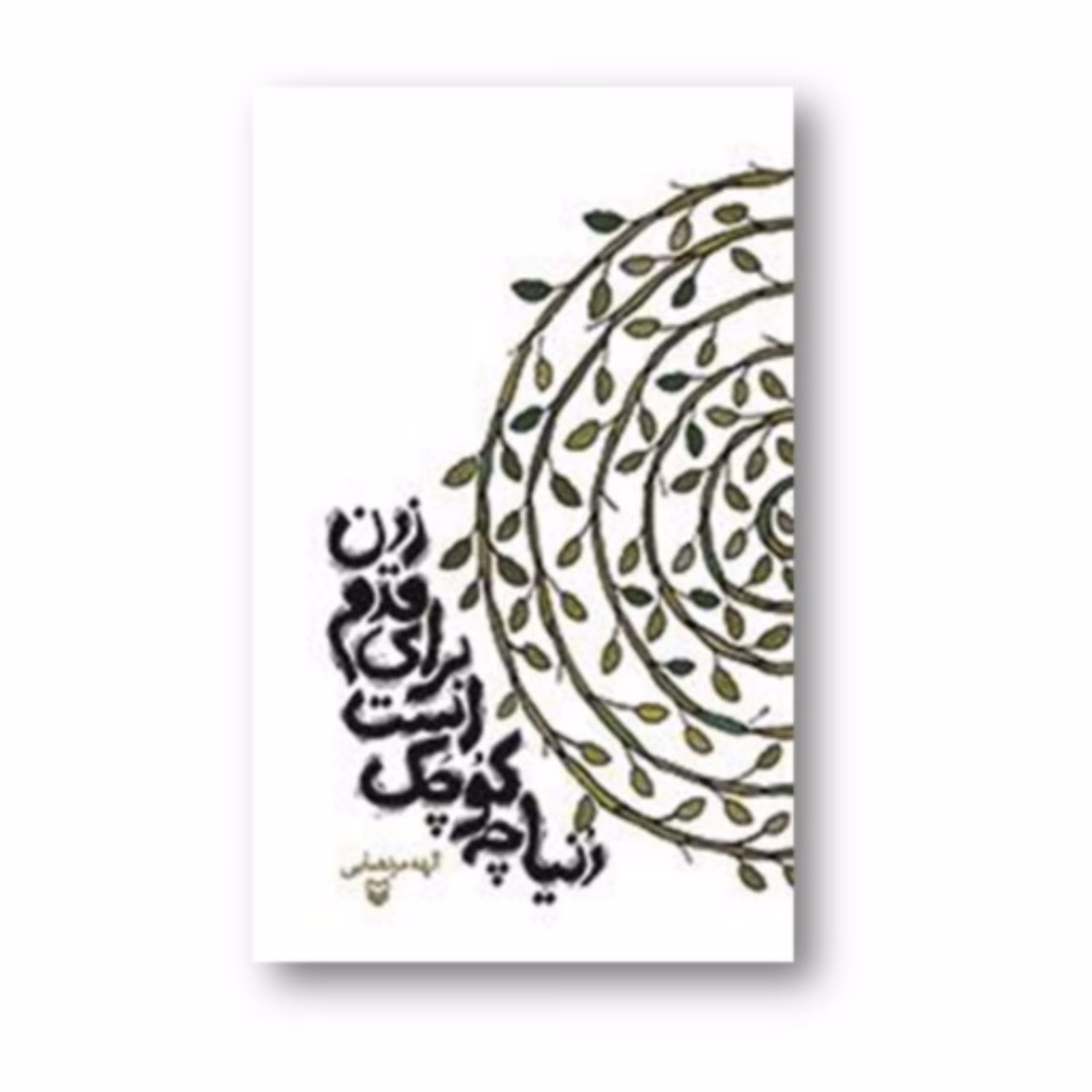 کتاب دنیا چه کوچک است برای قدم زدن