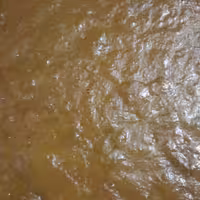 رب گوجه سبز (آلو)خانگی یک کیلویی 