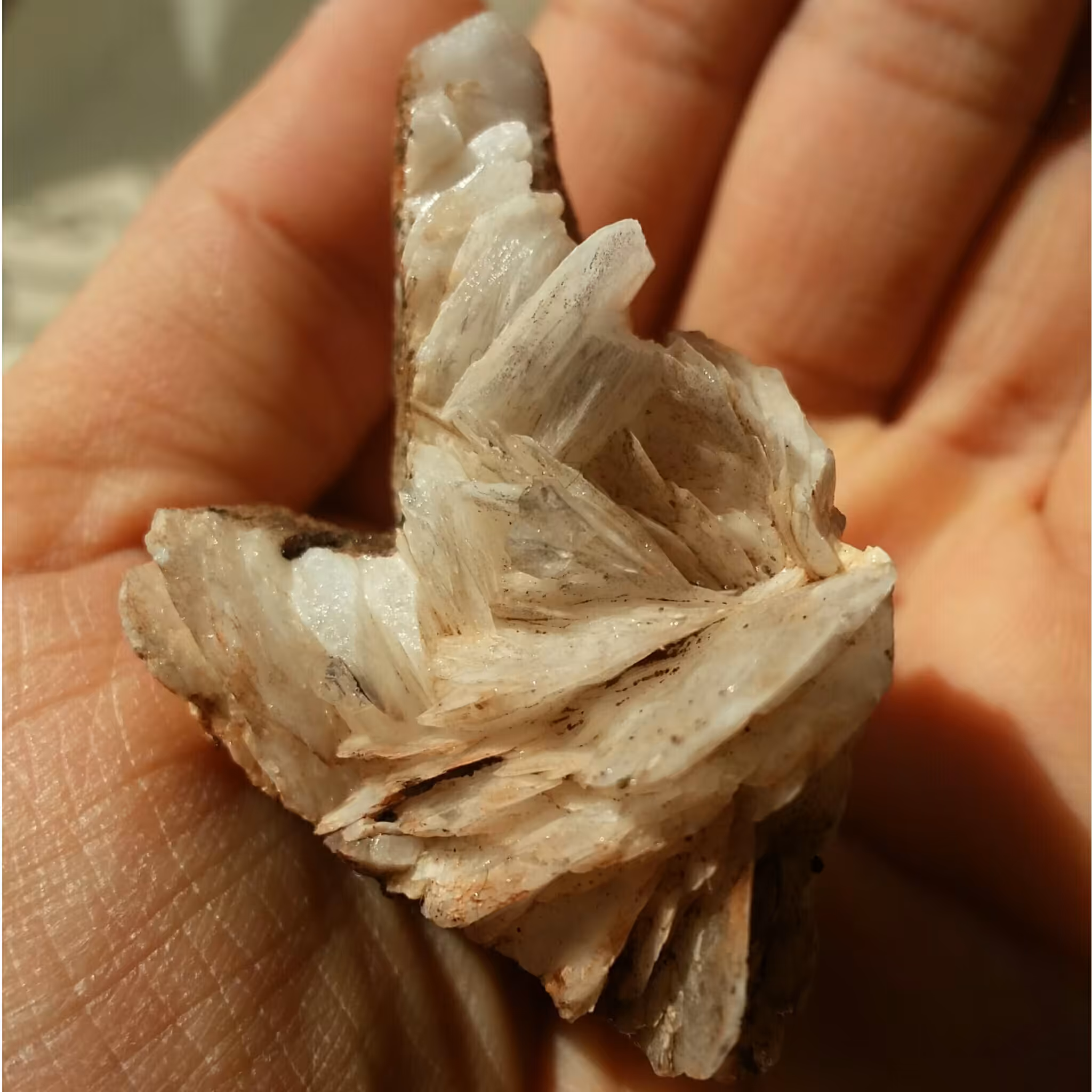 نمونه فوق کلکسیونی باریت بسیااااار زیبا کاملا طبیعی شاهکار خلقت بی نظیر
تک