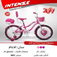 دوچرخه بچگانه اینتنس 20 464 2017