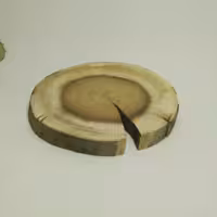 چوب کالباسی دفرمه پتینه و  ترک دار ، اسلایس ترک دار  چوب توت جهت رزین اپوکسی و دکوراسیون با قطر 12،5سانت و ضخامت 10میل  