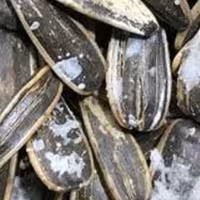 تخمه افتابگردان 2اتیشه (نمکی) 500گرم