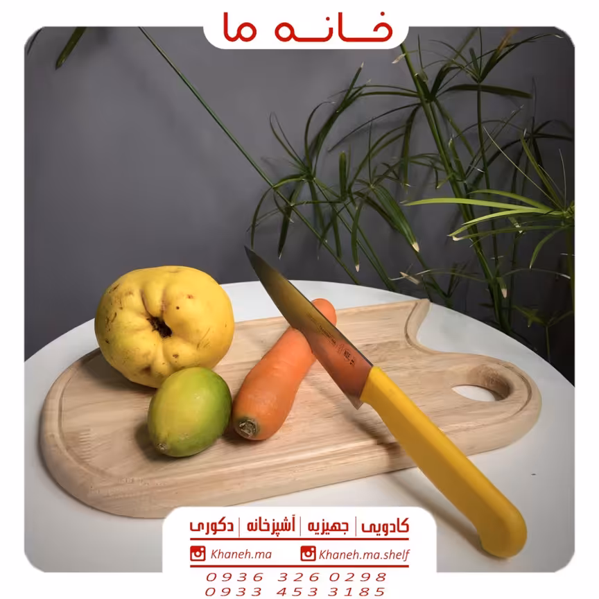 ظروف اردوخوری بامبو مدل تخته بیضی
