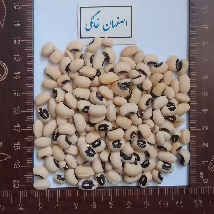 لوبیا چشم بلبلی  یک کیلویی(ارسال سریع)