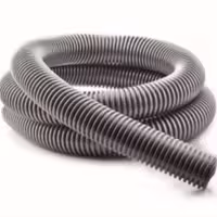 خرطومی آداک