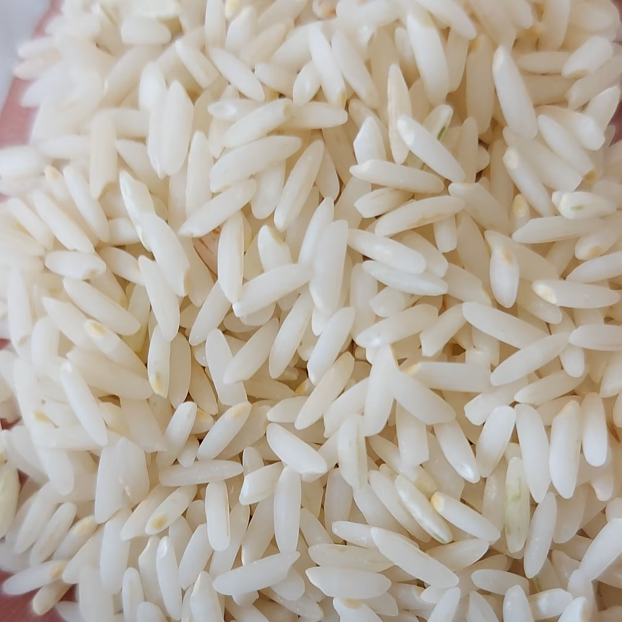 برنج علی کاظمی میانه