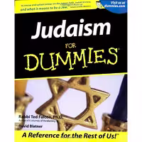 کتاب زبان اصلی Judaism For Dummies اثر Ted Falcon and David Blatner