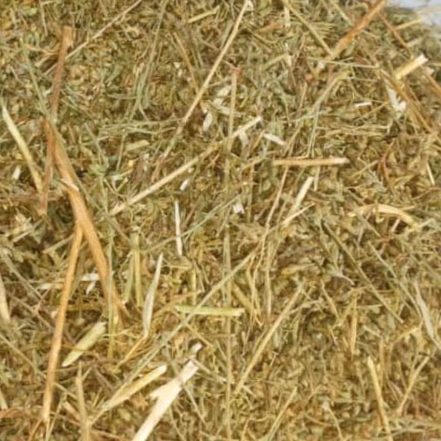 درمنه ترکی امسالی اعلا  ( 1کیلویی)