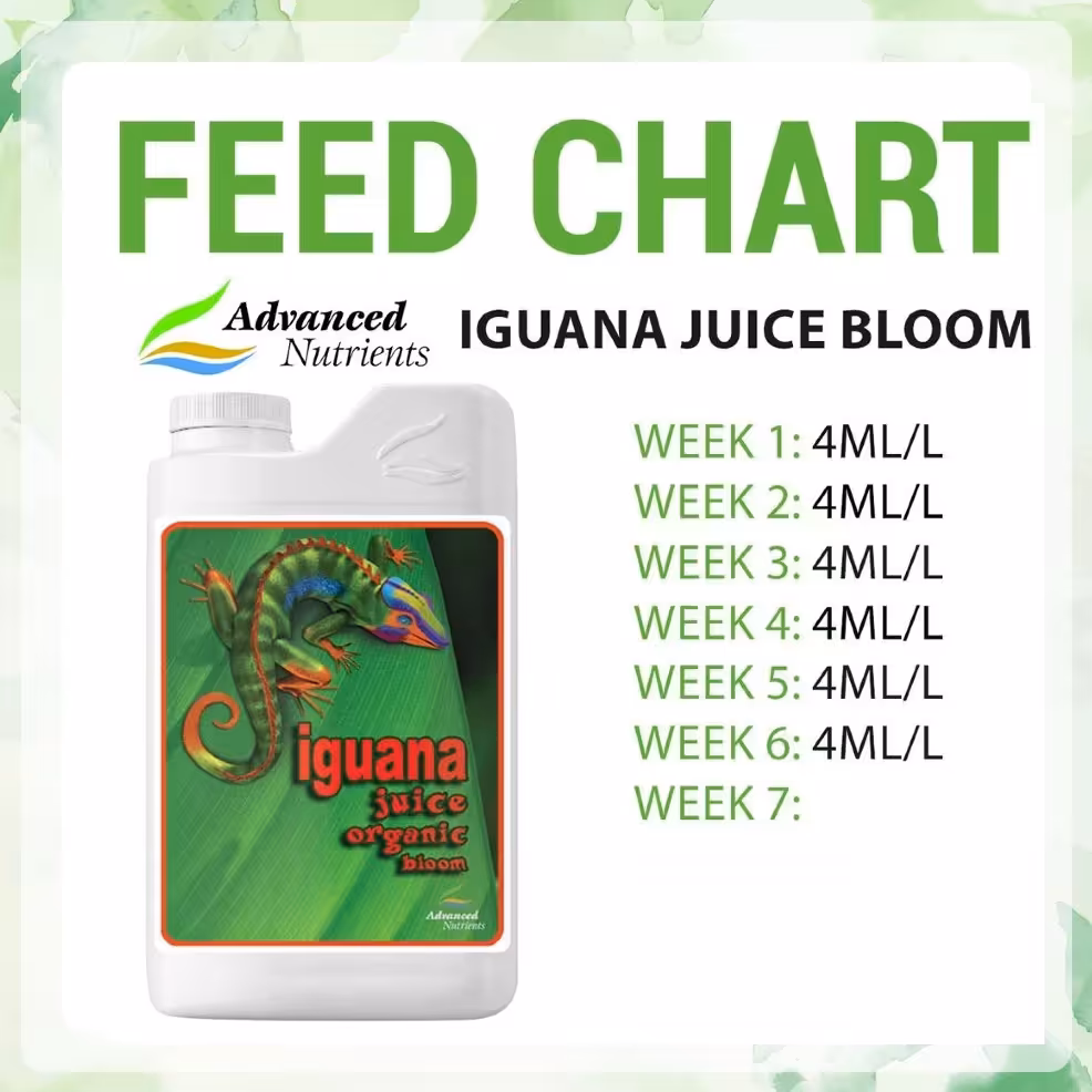 کود ادونس Iguana Juice Bloom- حجم 1لیتر