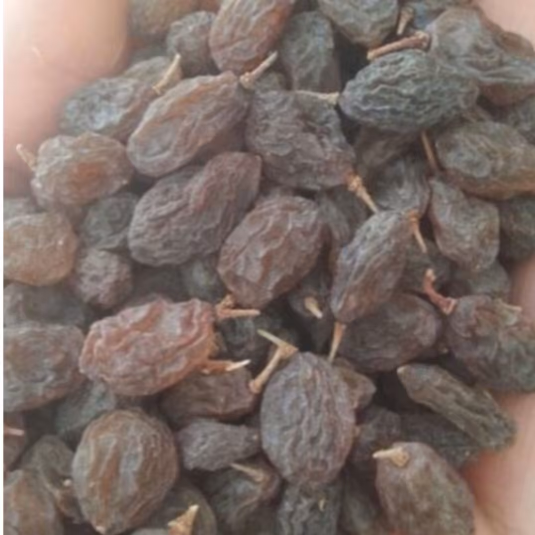 کشمش آفتاب خشک کاملا ارگانیک بدون مواد نگهدارنده مخصوص شهر ملکان 