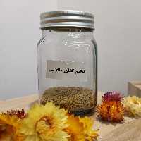 تخم کتان طلایی با کیفیت 100 گرمی