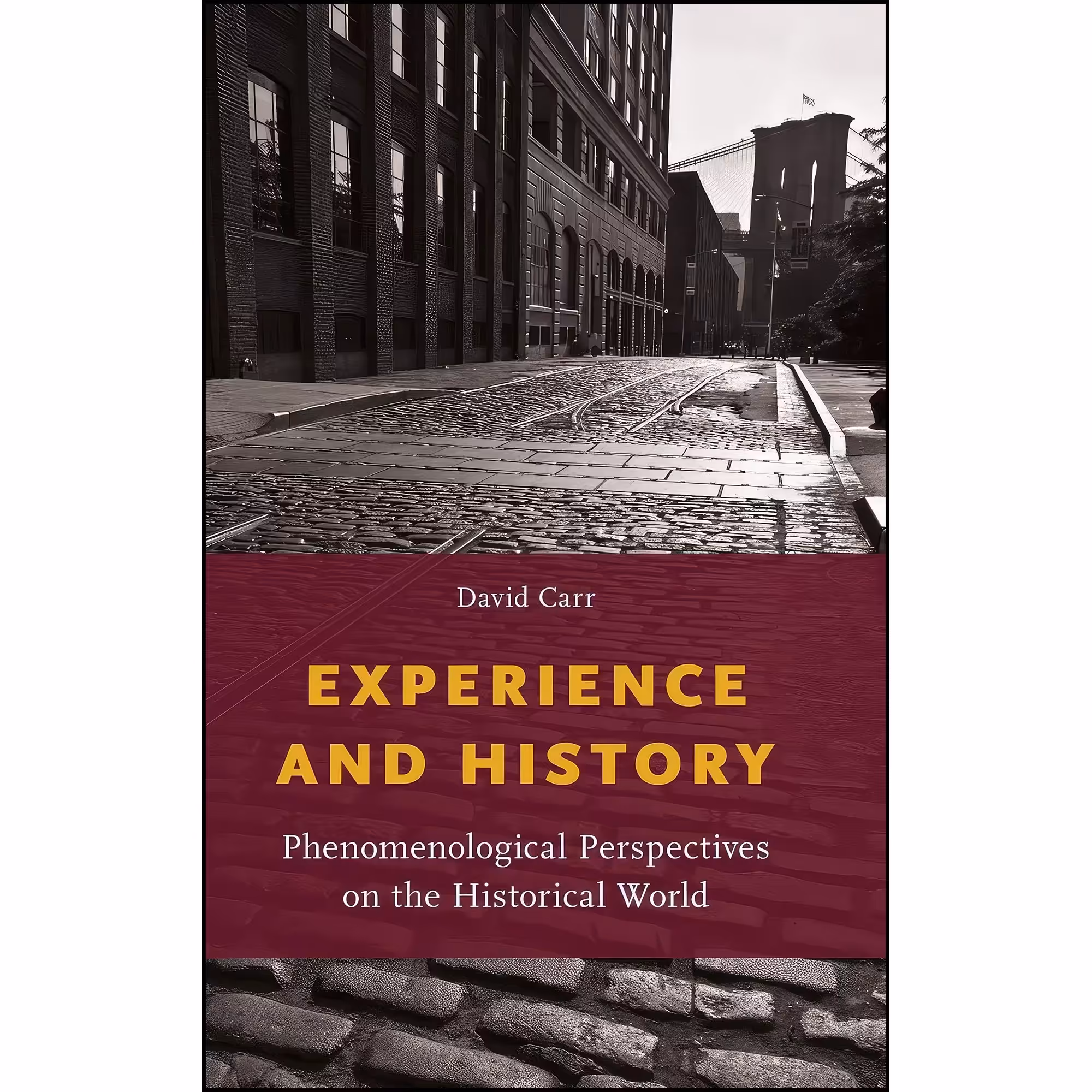 کتاب زبان اصلی Experience and History اثر David Carr