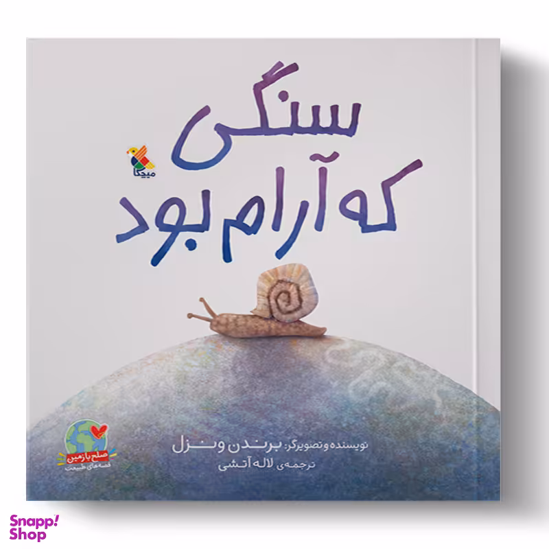 کتاب سنگی که آرام بود اثر برندن ونزل انتشارات میچکا